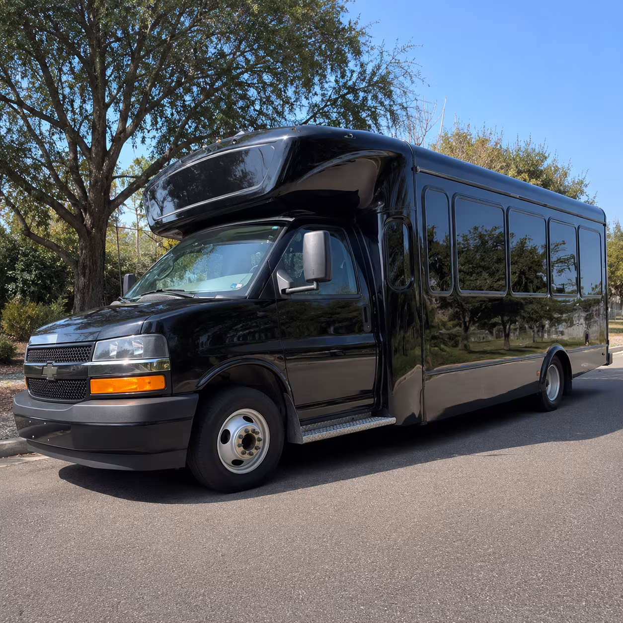 Cary Birthday, Sweet 16, & Quinceañera Party Bus Rentals